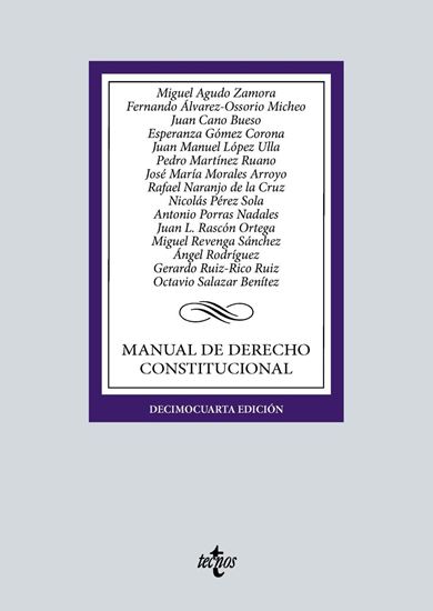 Imagen de MANUAL DE DERECHO CONSTITUCIONAL