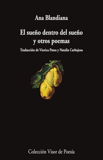 Imagen de EL SUEÑO DENTRO DEL SUEÑO Y OTROS POEMAS