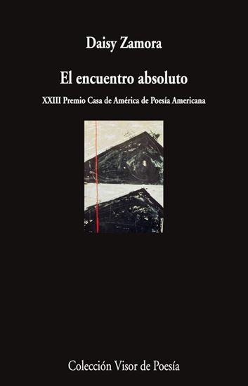 Imagen de EL ENCUENTRO ABSOLUTO