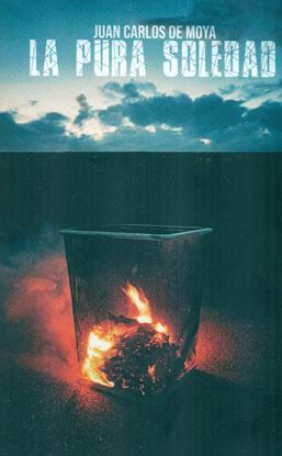 Imagen de LA PURA SOLEDAD