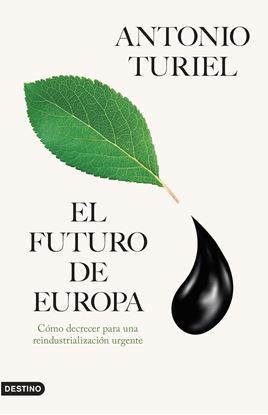 Imagen de EL FUTURO DE EUROPA