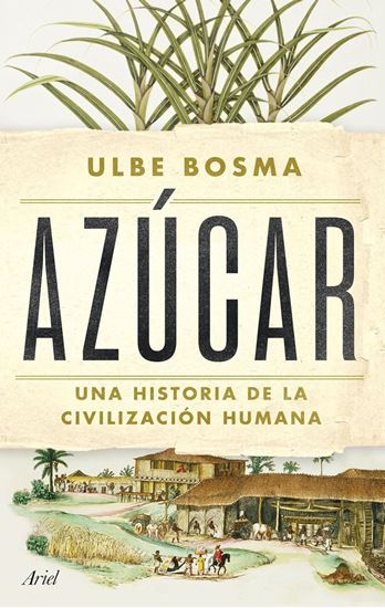 Imagen de AZUCAR. UNA HISTORIA DE LA CIVILIZACION