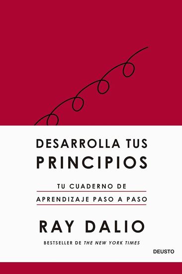 Imagen de DESARROLLA TUS PRINCIPIOS