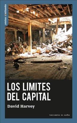 Imagen de LOS LIMITES DEL CAPITAL