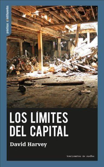Imagen de LOS LIMITES DEL CAPITAL