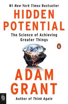 Imagen de HIDDEN POTENTIAL