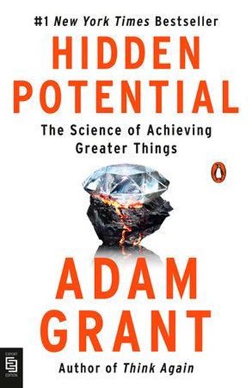 Imagen de HIDDEN POTENTIAL