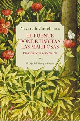 Imagen de EL PUENTE DONDE HABITAN LAS MARIPOSAS