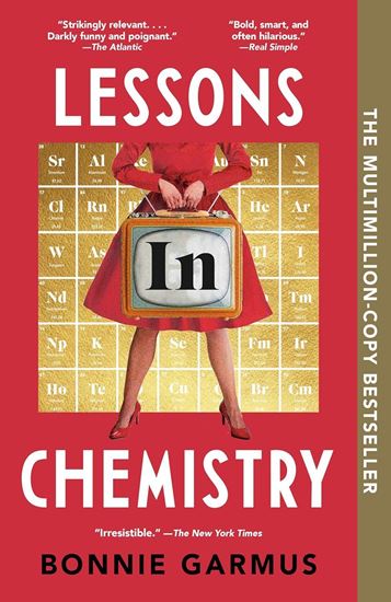 Imagen de LESSONS IN CHEMISTRY