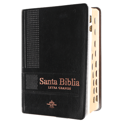 Imagen de BIBLIA RVR LG VINILO NEGRO