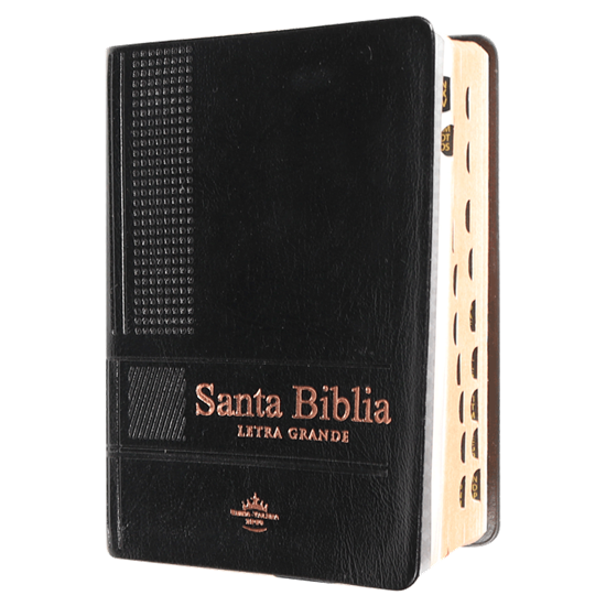 Imagen de BIBLIA RVR LG VINILO NEGRO