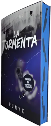 Imagen de LA TORMENTA (DARK VERSE 2)