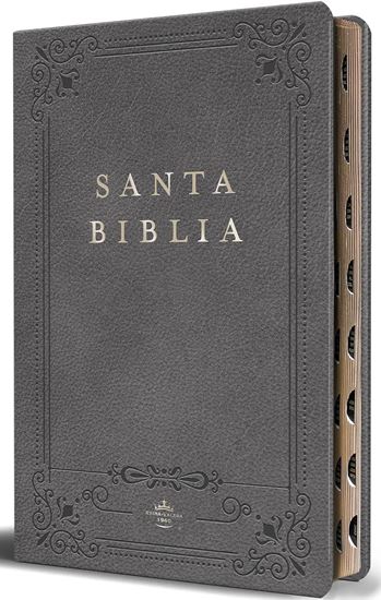 Imagen de BIBLIA RVR 1960 LETRA GRANDE PIEL GRIS