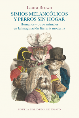 Imagen de SIMIOS MELANCOLICOS Y PERROS SIN HOGAR