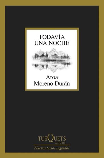 Imagen de TODAVIA UNA NOCHE