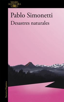 Imagen de DESASTRES NATURALES