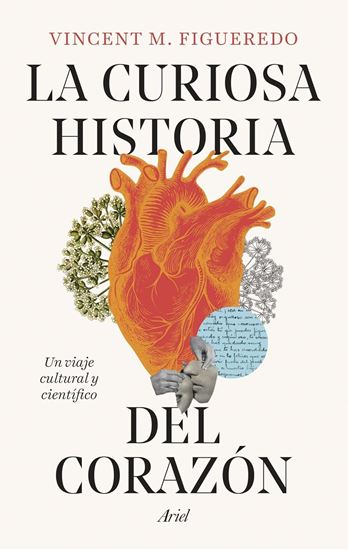 Imagen de LA CURIOSA HISTORIA DEL CORAZON