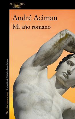 Imagen de MI AÑO ROMANO