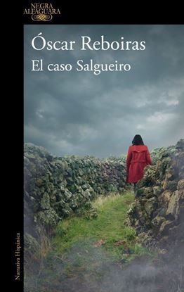 Imagen de EL CASO SALGUEIRO