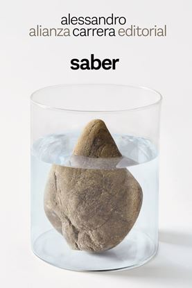 Imagen de SABER