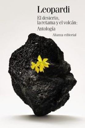 Imagen de EL DESIERTO, LA RETAMA Y EL VOLCAN: ANTO