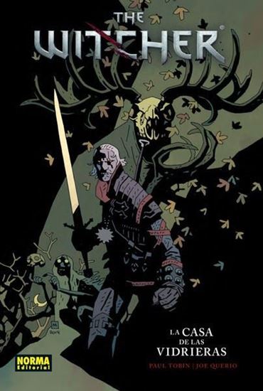 Imagen de THE WITCHER 1. LA CASA DE LAS VIDRIERAS