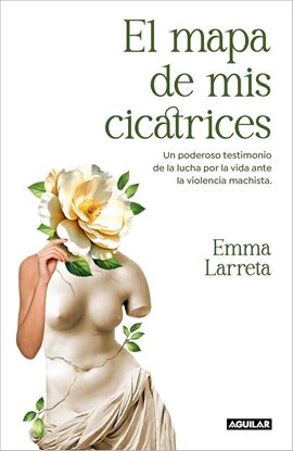 Imagen de EL MAPA DE MIS CICATRICES