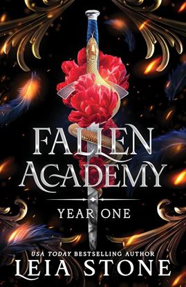 Imagen de FALLEN ACADEMY: YEAR ONE