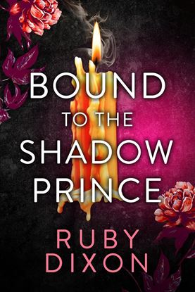 Imagen de BOUND TO THE SHADOW PRINCE
