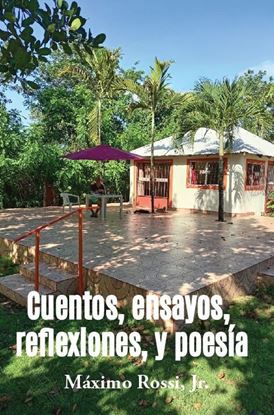 Imagen de CUENTOS, ENSAYOS, REFLEXIONES Y POEMAS