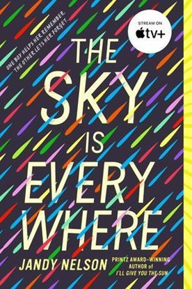 Imagen de THE SKY IS EVERYWHERE