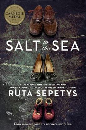 Imagen de SALT TO THE SEA