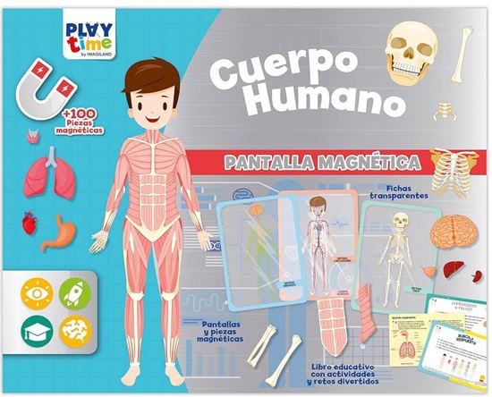 Imagen de PANTALLA MAGNETICA EL CUERPO HUMANO