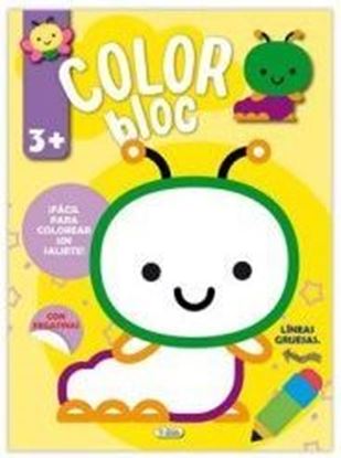 Imagen de COLOR BLOC (2 TIT)