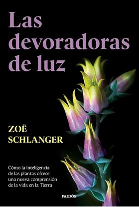 Imagen de LAS DEVORADORAS DE LUZ