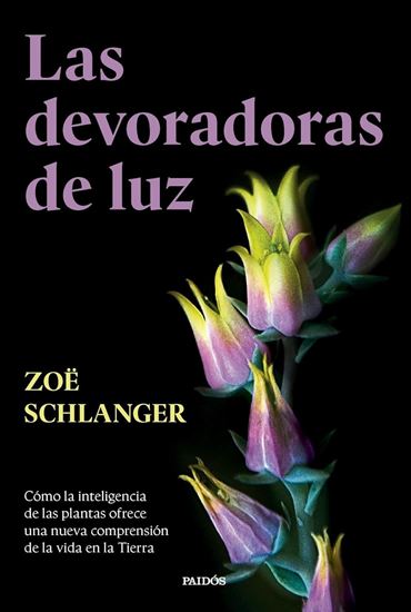 Imagen de LAS DEVORADORAS DE LUZ