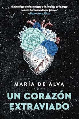 Imagen de UN CORAZON EXTRAVIADO