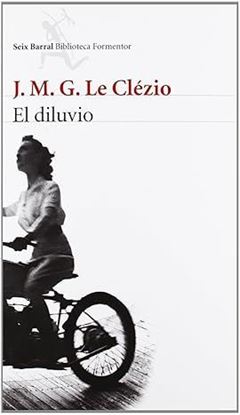 Imagen de EL DILUVIO