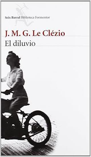 Imagen de EL DILUVIO