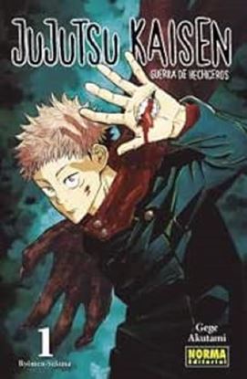 Imagen de JUJUTSU KAISEN 1