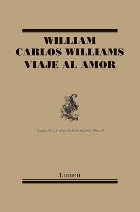 Imagen de VIAJE AL AMOR