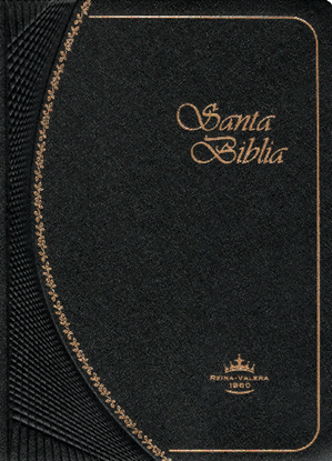 Imagen de SANTA BIBLIA RVR LETRA CHICA OCEAN (BOL)