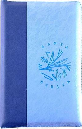 Imagen de SANTA BIBLIA RVR LG AZ-OSCURO-CLARO