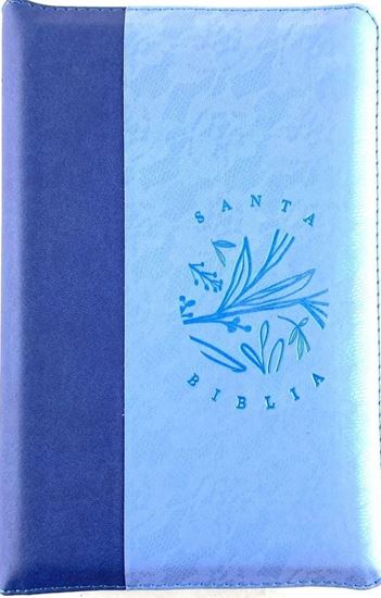 Imagen de SANTA BIBLIA RVR LG AZ-OSCURO-CLARO