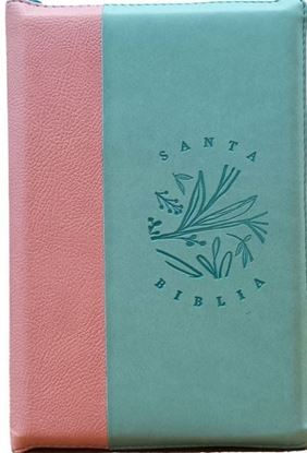 Imagen de SANTA BIBLIA RVR LG VERDE-ROSA
