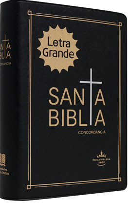Imagen de SANTA BIBLIA RVR LG MED. CONC/ VINIL NEG