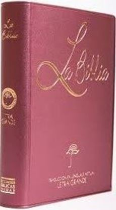 Imagen de LA BIBLIA TRADUCCION LENG.  LG - (VINO)