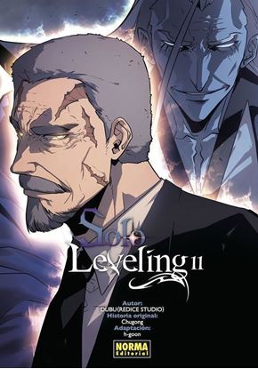 Imagen de SOLO LEVELING 11