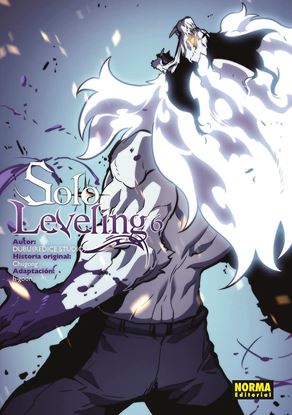Imagen de SOLO LEVELING 6