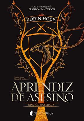 Imagen de APRENDIZ DE ASESINO (1)